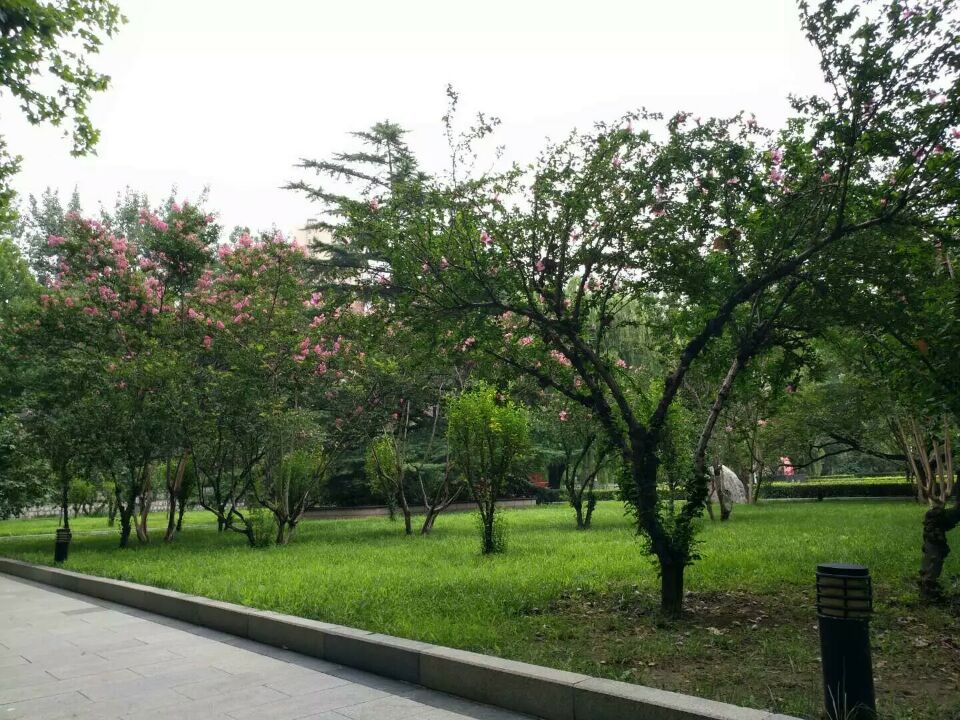 齊魯電力學(xué)校招生簡章 齊魯電力學(xué)校招生簡章