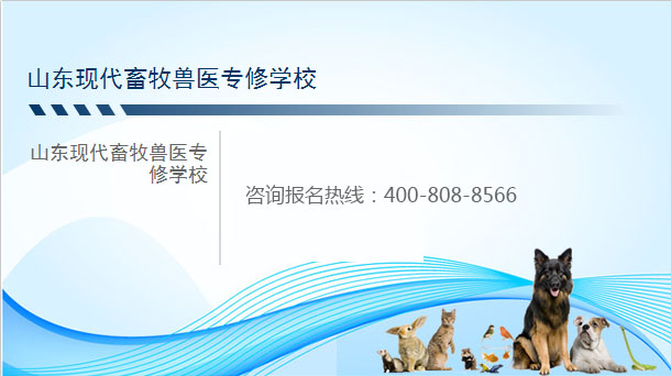 山東現代畜牧獸醫專修學校 山東現代畜牧獸醫專修學校