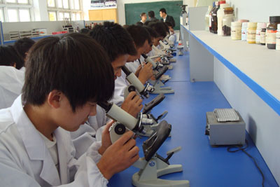 山東現代畜牧獸醫(yī)專修學校怎么樣? 山東現代畜牧獸醫(yī)專修學校怎么樣?