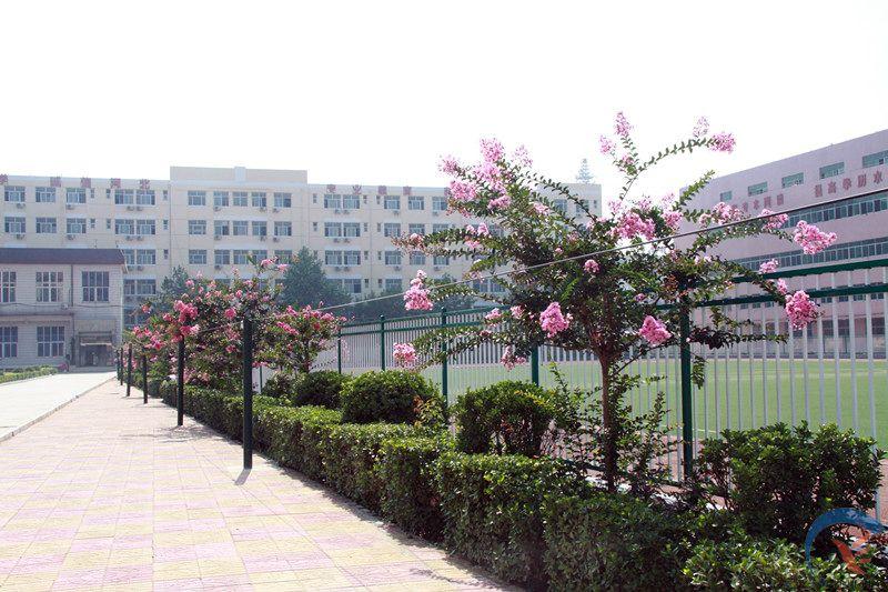 去臨沂藝術學校學舞蹈專業(yè)好嗎? 去臨沂藝術學校學舞蹈專業(yè)好嗎?