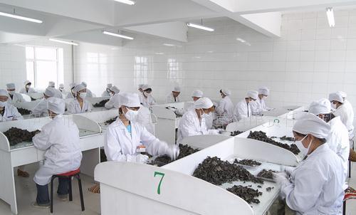 _(ti)܌W(xu)r(nng)a(chn)ƷӹI(y)