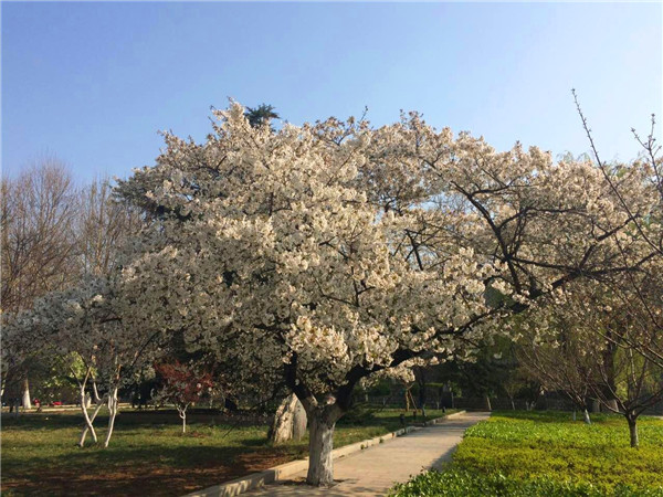 齊魯技術學院 齊魯技術學院