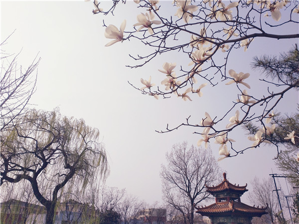齊魯技術學院 齊魯技術學院