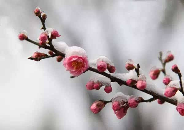 東營貴夫人美容美發婚紗攝影學校:常見的攝影構圖方法你知道嗎? 東營貴夫人美容美發婚紗攝影學校:常見的攝影構圖方法你知道嗎?