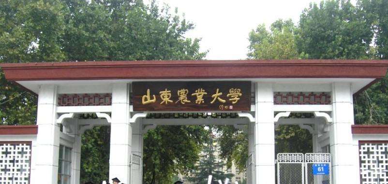 濟南學(xué)華教育——山東農(nóng)業(yè)大學(xué) 濟南學(xué)華教育——山東農(nóng)業(yè)大學(xué)