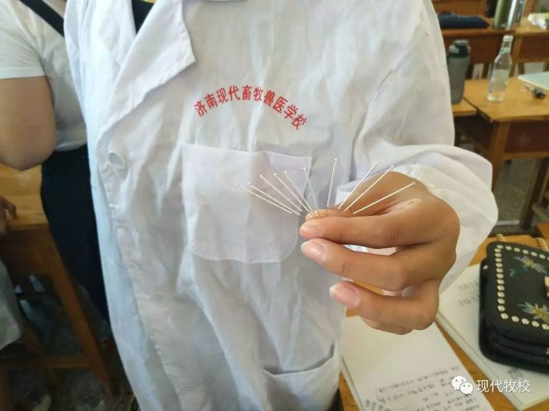 山東現代畜牧獸醫專修學校好嗎?畢業后能找到工作嗎? 山東現代畜牧獸醫專修學校好嗎?畢業后能找到工作嗎?