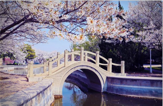 青島遠洋船員職業(yè)學(xué)院 青島遠洋船員職業(yè)學(xué)院