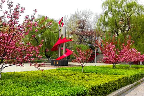 齊魯技術學院都有哪些重點專業? 齊魯技術學院都有哪些重點專業?