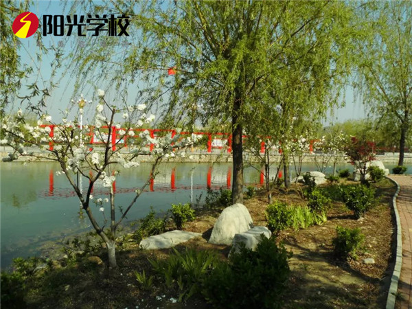 為什么很多人選擇泰安陽光汽車專修學校? 為什么很多人選擇泰安陽光汽車專修學校?