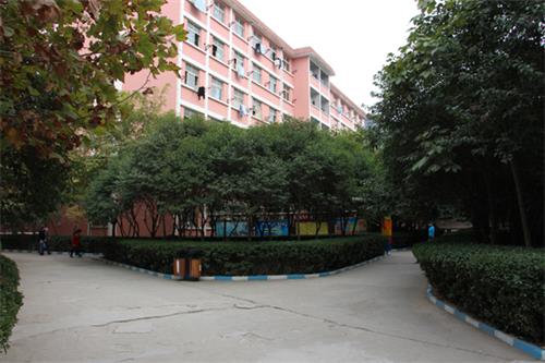 ɽ�|�����ތWԺ�t�W�����߿���������������Щ��