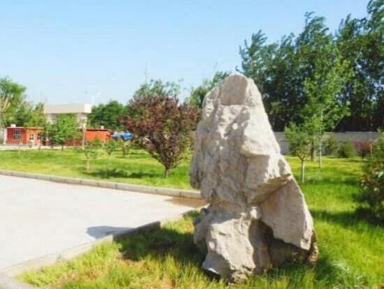 齊光科技文化專修學校(濟南齊光衛(wèi)校) 齊光科技文化專修學校(濟南齊光衛(wèi)校)