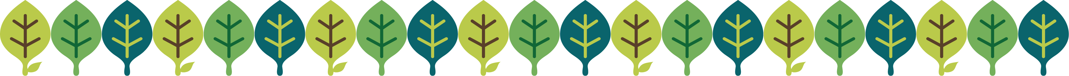 ���̌W�ĸ������I�������B