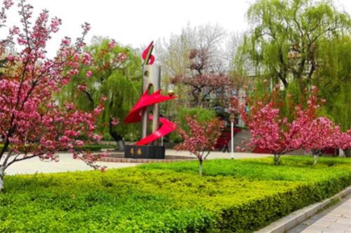 齊魯技術學院有何報名條件? 齊魯技術學院有何報名條件?