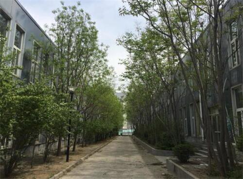 山東職業技工學校有何辦學優勢? 山東職業技工學校有何辦學優勢?