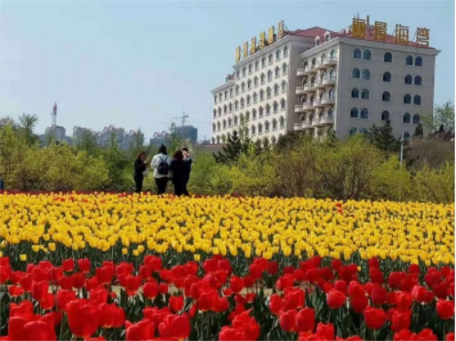 ɽ|ʡзռWԺƵ꼯FɲࡱÆ᣿