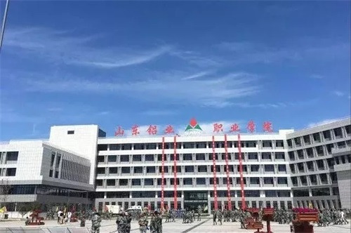 山東鋁業有限公司被教育部評為“產教融合型企業” 山東鋁業有限公司被教育部評為“產教融合型企業”