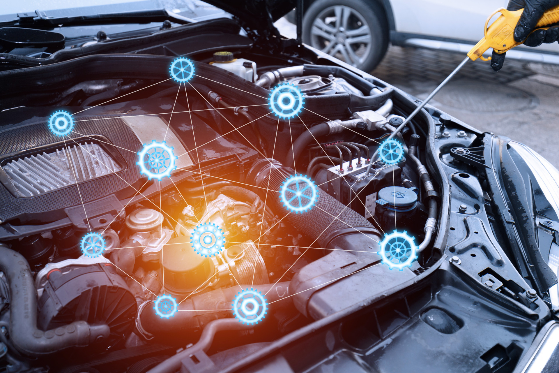 ܇ԴSôɽ|XIIWԺ@I᣿