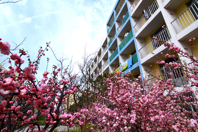 uIgWԺôӣWУhÆ᣿