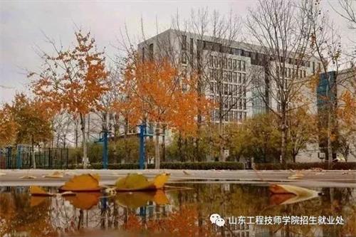 山東工程技師學院有電子商務專業嗎? 山東工程技師學院有電子商務專業嗎?