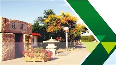 青島綠澤電影美術學校動畫設計與制作專業好就業嗎? 青島綠澤電影美術學校動畫設計與制作專業好就業嗎?