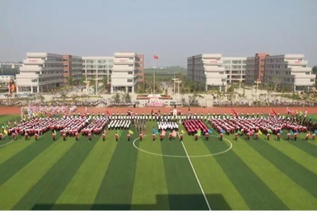 哪個學校有音樂專業?  哪個學校有音樂專業?