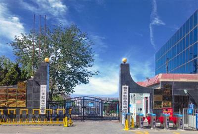 W(wng)j(lu)g(sh)I(y)Ҫʲô(ni)ݣ 