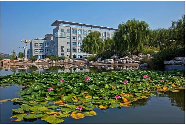 IWԺÆ᣿W͘Ir