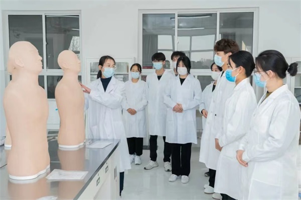 微山縣職業教育中心學校哪些專業比較不錯? 微山縣職業教育中心學校哪些專業比較不錯?