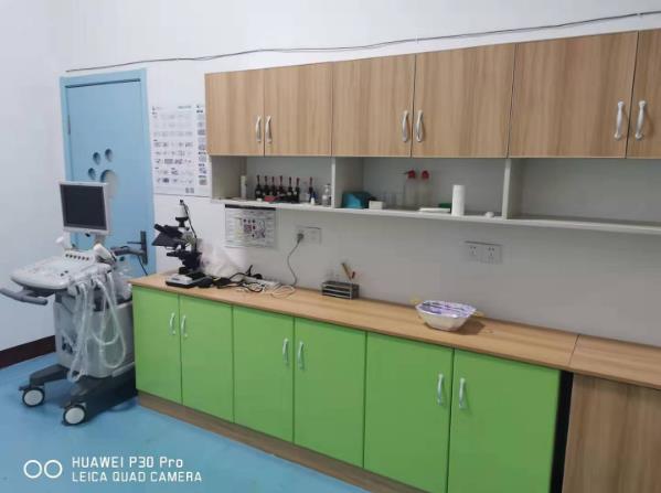 ɽ|ԪRFtӖWУ_OЩn̰ࣿ